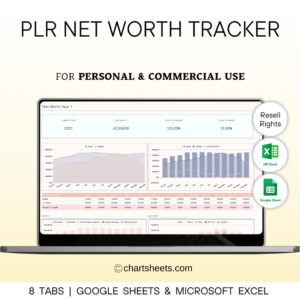 PLR Net Worth Tracker Spreadsheet Template